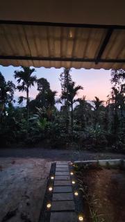 Hut Arabica - 5