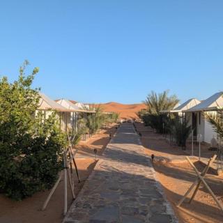 Sahara Nights Luxury Camp - 9