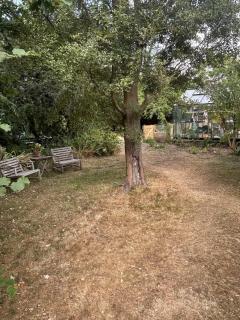 The Cottage - 1