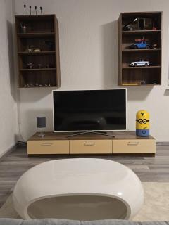Gemütliches Appartement mit Küche und Parkplatz nähe Schweiz - 1