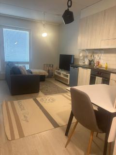 Modern City Apartment nearby Airport 2 - Vantaa - 0