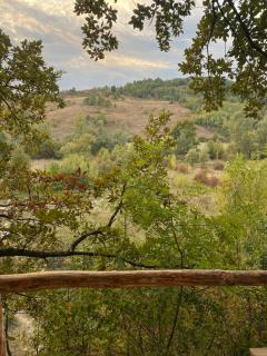 Colț Verde 1 - Log Cabin in the forest-Experience - 6