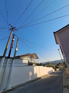 Aleksander house - 4