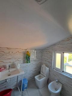 Aleksander house - 3