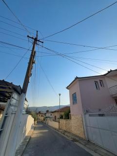 Aleksander house - 1