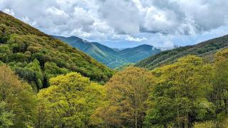 Serene Green - Views, Hot Tub, Skiing, Tubing, Gas Fireplace - 1