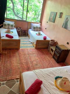 Riad Atlas Garden - 8