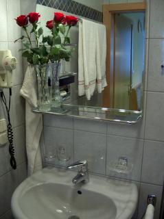 Fleger Appartements - 3