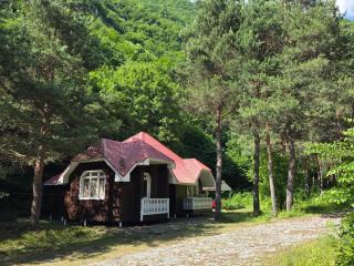 Narınqala Hotel - 7