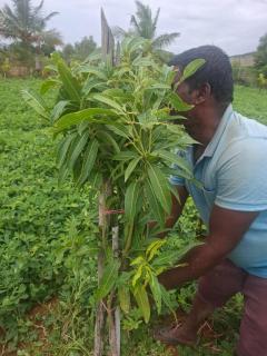 Home stay near puttaparthi - 7