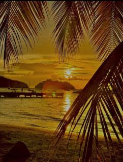 STUDIO COIN NUIT NEUF 40m2 LES TROIS ILETS 400 m PLAGE ANSE A L ANE - 3