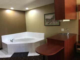 Microtel Inn & Suites by Wyndham Lithonia/Stone Mountain - Lithonia - 4