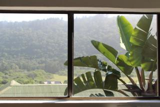 Pearly Beach House - 3