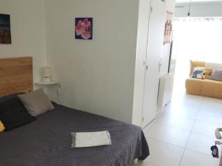 Studio Cosy Proche Thermes - Animaux Admis - FR-1-503-124 - 1