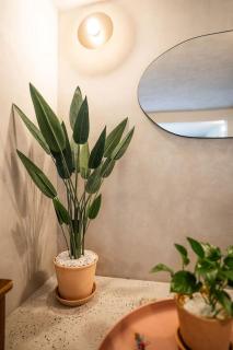 Charming Cozy Apartment in the Heart of Coyoacán - 1