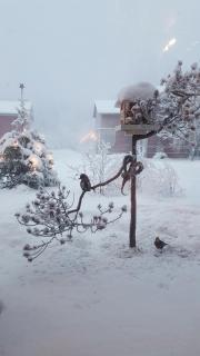 Ranua Villa Koskela - 6