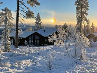 Luxury Trysil Chalet Hot Tub and Sauna - 8
