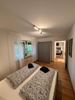 Large Wuerzburg Apartment - 5