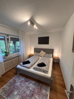 Large Wuerzburg Apartment - 4