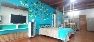 Lemon Monoambiente - 4