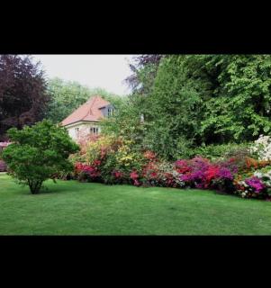 shayan villa - 1