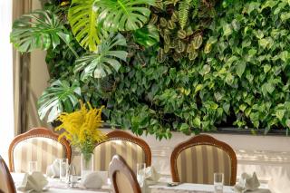 Willa Starosty Hotel & SPA - 2