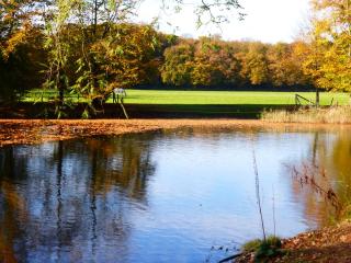 de zanderij - 's-Graveland - 2