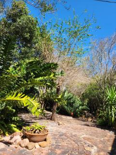 Macaneta Forest House - 2