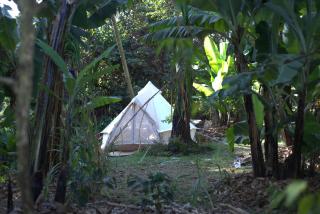 Darajani-Kilimanjaro Hotel, Sanya Juu Tanzania - 6