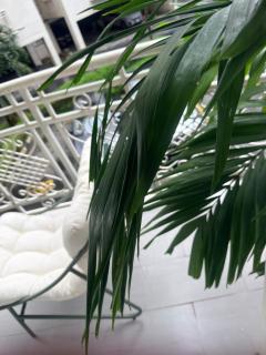 Mex premium three bedrooms bourdillon ikoyi - 1