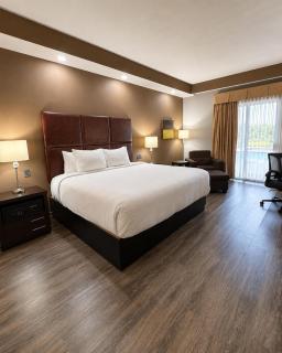 Best Western PLUS Monterrey Airport - 5