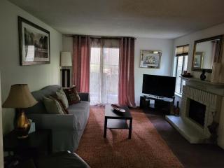 Lovely One bedroom condo with indoor fireplace. - 8