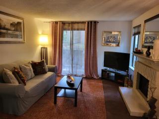 Lovely One bedroom condo with indoor fireplace. - 0