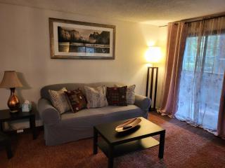 Lovely One bedroom condo with indoor fireplace. - 7