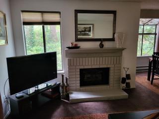 Lovely One bedroom condo with indoor fireplace. - 4