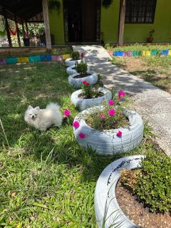 Casa confortável com cachoeira e piscinas naturais - 7