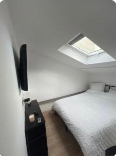 Appartement cosy lumineux et spacieux - 4
