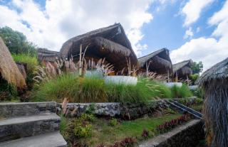 Segara Camp Kintamani - 1