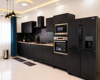 Modern Apartment Free WiFi Airport pickup - 4