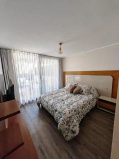 Viña- terraza y gran jardin privado- parrilla- 2dorm-a 10 minutos de la playa caminando - 4