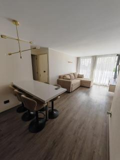 Viña- terraza y gran jardin privado- parrilla- 2dorm-a 10 minutos de la playa caminando - 7