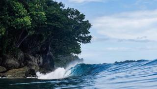 Telosforeshousesurf - 8