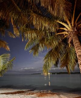 Telosforeshousesurf - 1