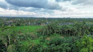Casa Rodi Ubud - 1 Bedroom Suites with Private Living & Balcony - 9