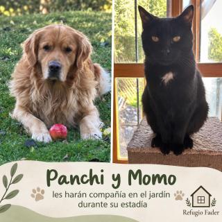 Cálida Cabaña ideal para parejas - 5