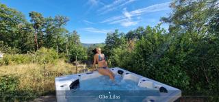 La Villa du Parc - Gîtes & SPAs privatifs - 8