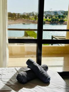The view - 3