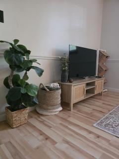 Cozy Private Suite 2 Mi to Mayo Clinic Downtown - 5