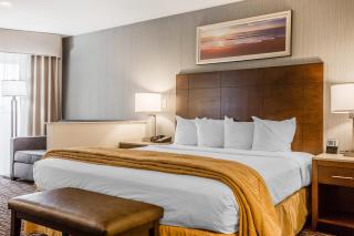 Quality Inn & Suites Hermosa Beach - 8