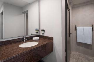 Hotel MX congreso CDMX, Trademark Collection by Wyndham - 3